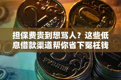 济南担保费贵到想骂人？这些低息借款渠道帮你省下冤枉钱