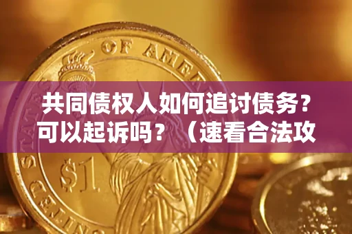 济南共同债权人如何追讨债务？可以起诉吗？（速看合法攻略）