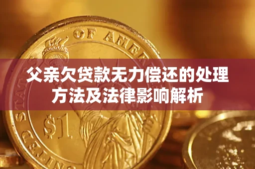 济南父亲欠贷款无力偿还的处理方法及法律影响解析